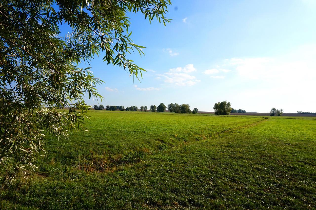 Gasthaus Zur Krone Windelsbach Екстериор снимка